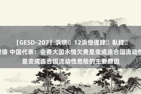 【GESD-207】浜哄12浜恒偍銉倝銉兂銉€銉笺儵銉炽儔 中国代表：会费大国永恒欠费是变成连合国流动性危险的主要原因