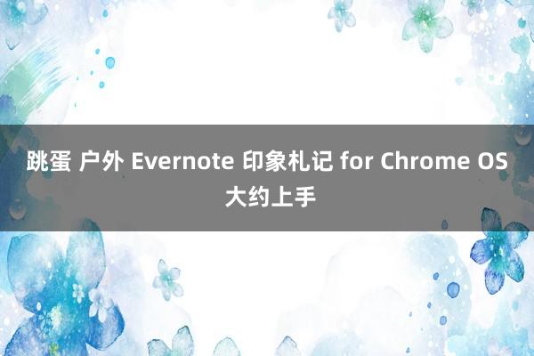 跳蛋 户外 Evernote 印象札记 for Chrome OS 大约上手