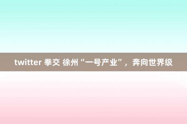 twitter 拳交 徐州“一号产业”，奔向世界级