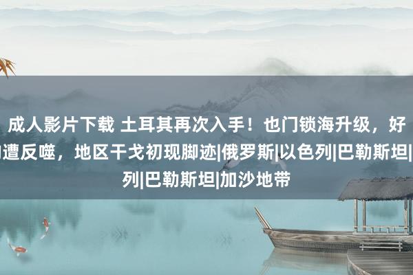 成人影片下载 土耳其再次入手！也门锁海升级，好意思以均遭反噬，地区干戈初现脚迹|俄罗斯|以色列|巴勒斯坦|加沙地带